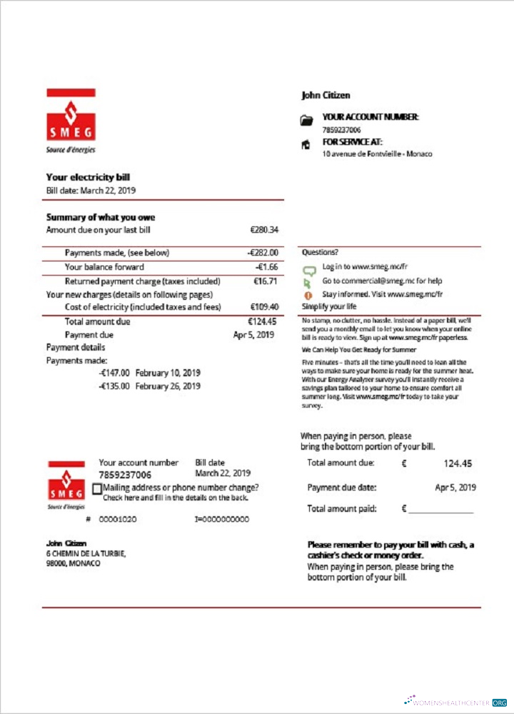 download download Monaco SMEG electricity utility bill template in Word and PDF format PDF template PDF template